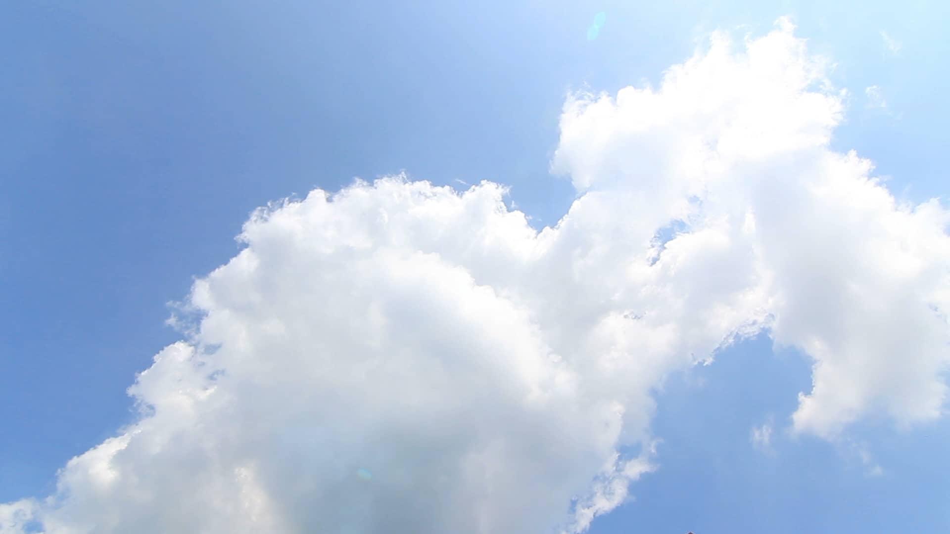 Process piping components and assemblies